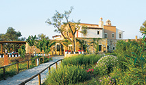 creta palace spring break creta palace spring break